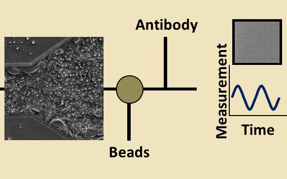 Diagram of on-chip albumin sensing: cells in a culture chamber feed antibody-coated beads that give a measurement over time